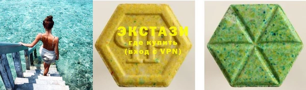 хмурый Аркадак