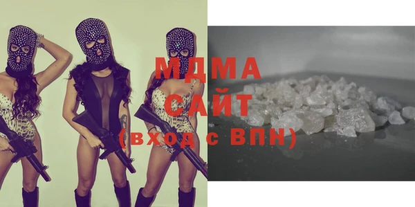 хмурый Аркадак