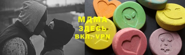 хмурый Аркадак
