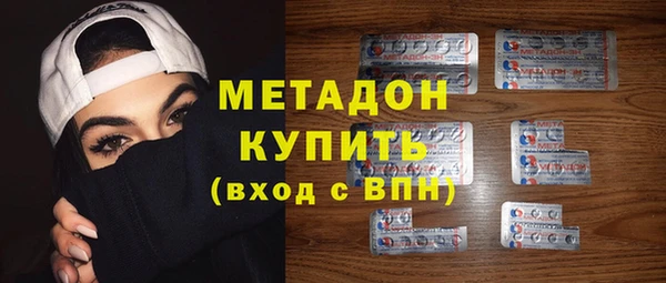 хмурый Аркадак