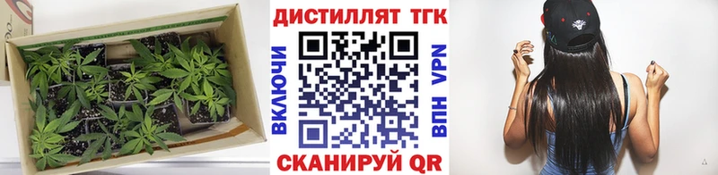 Дистиллят ТГК жижа  Белая Холуница 