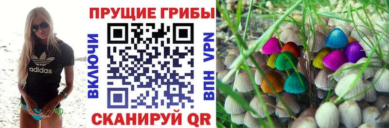 Псилоцибиновые грибы мухоморы Белая Холуница